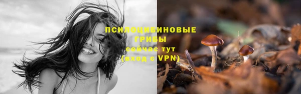 дистиллят марихуана Беломорск