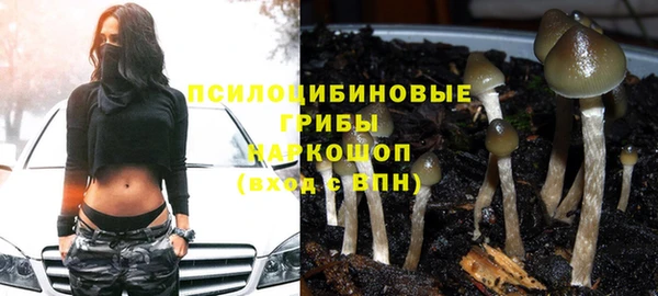 мескалин Белокуриха