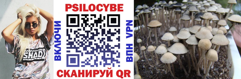 Купить  Новопавловск  Псилоцибиновые грибы мухоморы 
